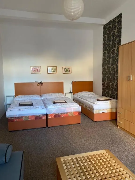 Multi-bed apartment with high ceilings